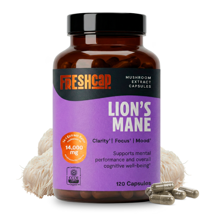 Lion&