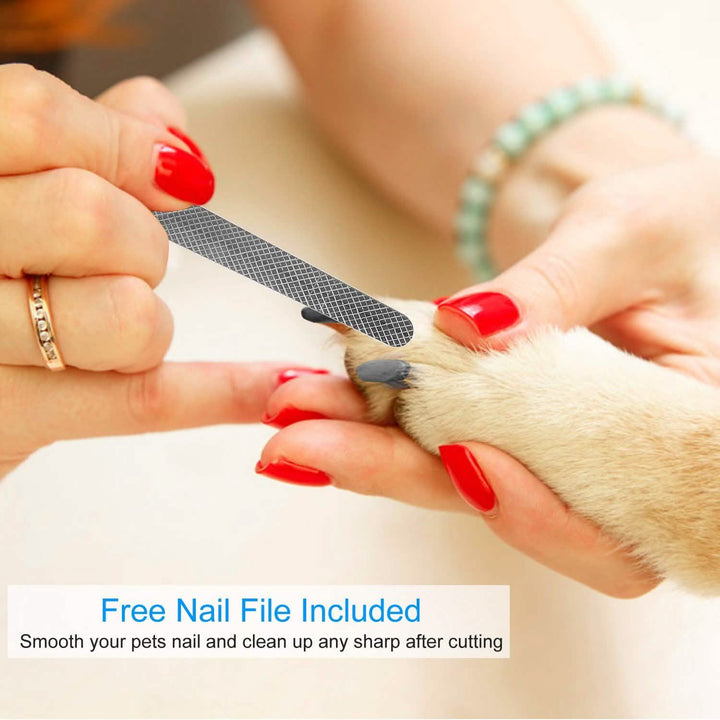 Pet Nail Toe Stainless Steel Trimmer with Nail File
