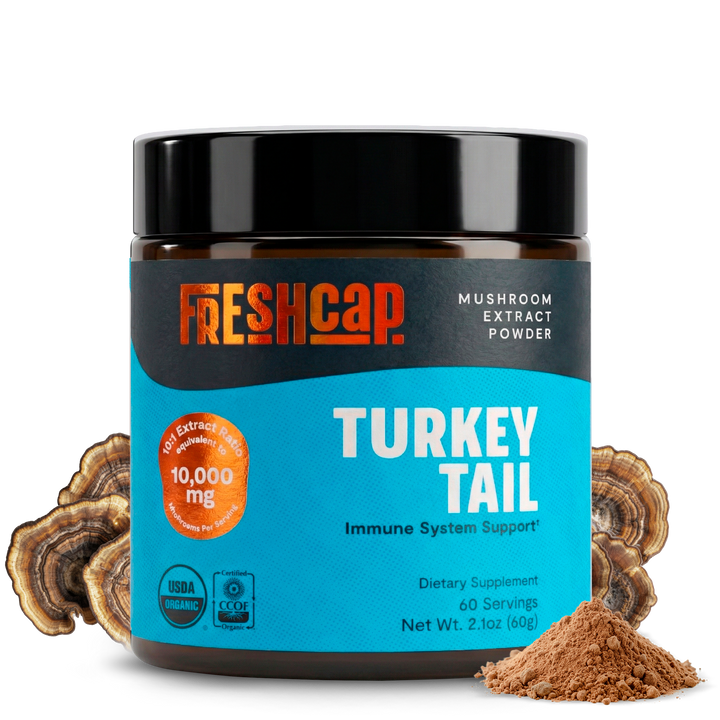 Turkey Tail Mushroom Extract Powder